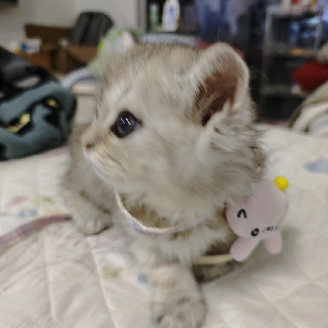 汤圆儿的朋友圈