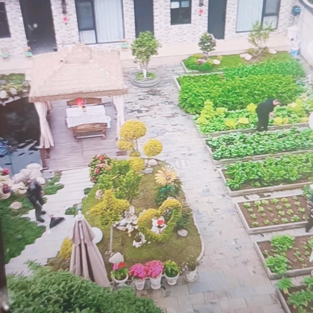 河南胖哥