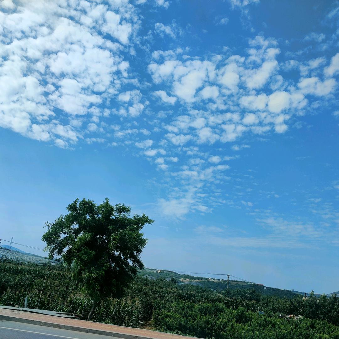 钻石钻石