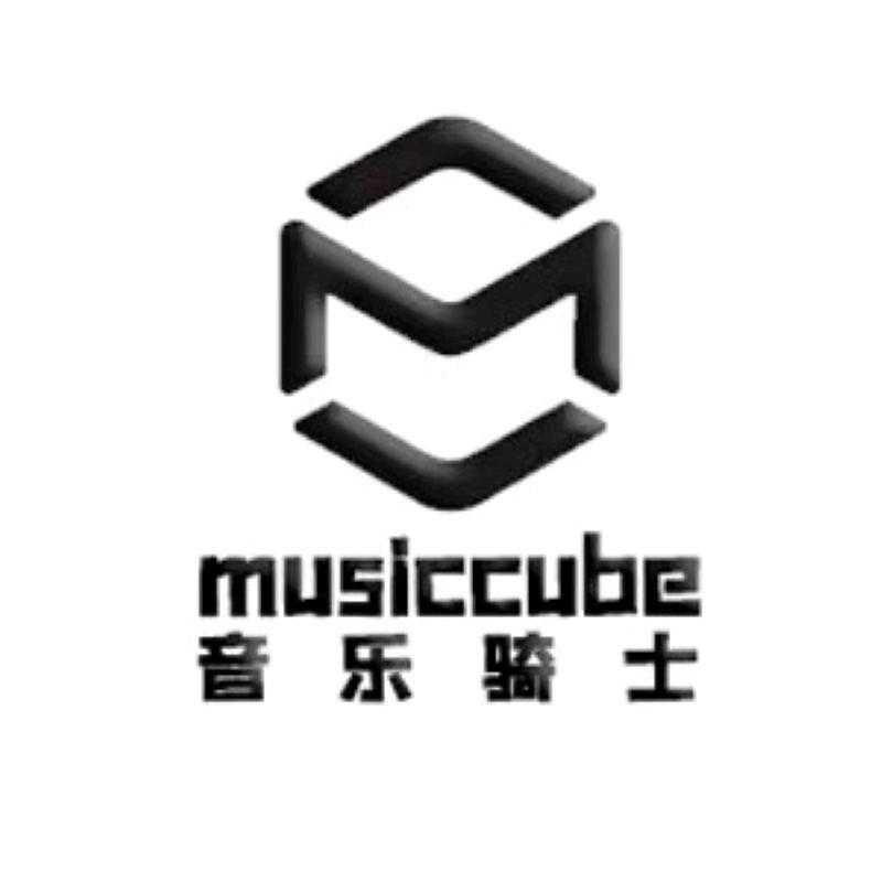 音乐骑士洋海企业店