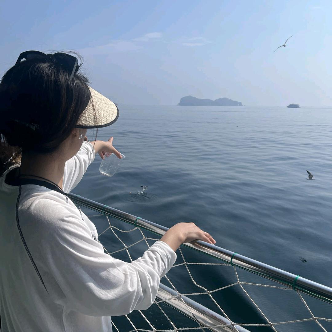 菩提果