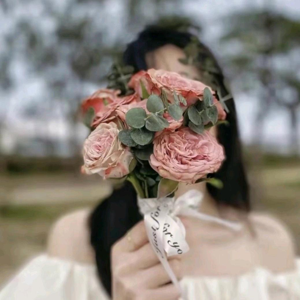 柿柿如意