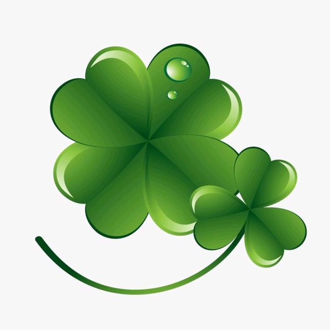🍀🍃DD