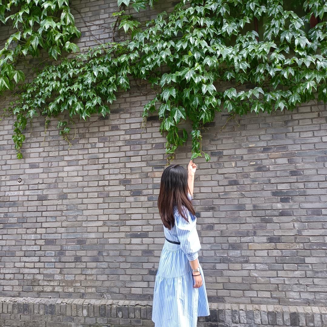 南笙姑娘