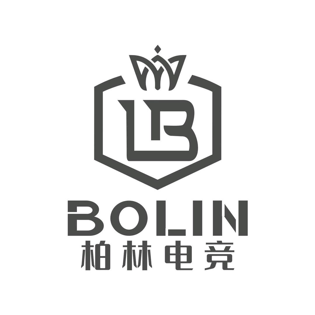 柏林电竞酒店六安臻逸电竞酒店有限公司