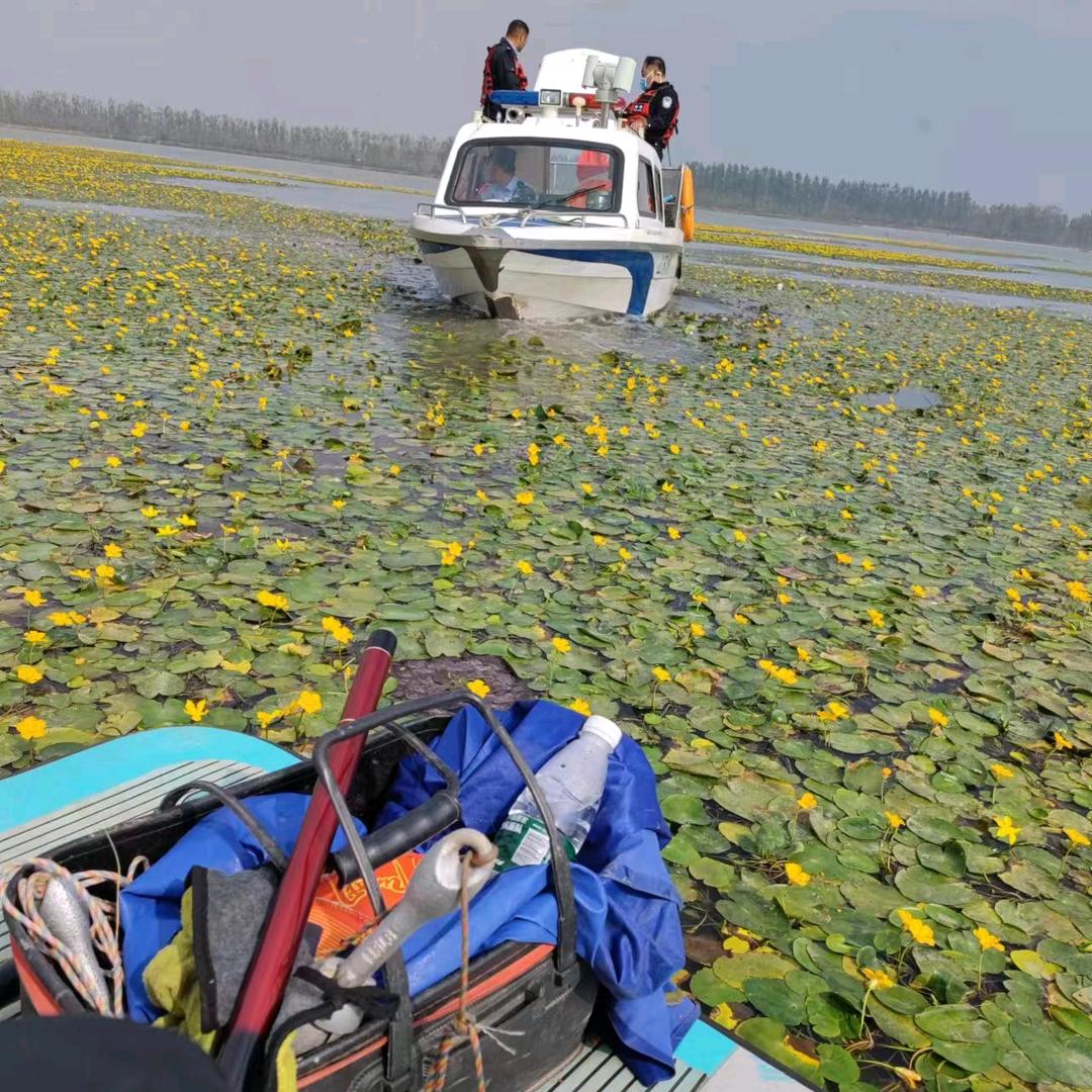 大运河最靓钓鱼佬