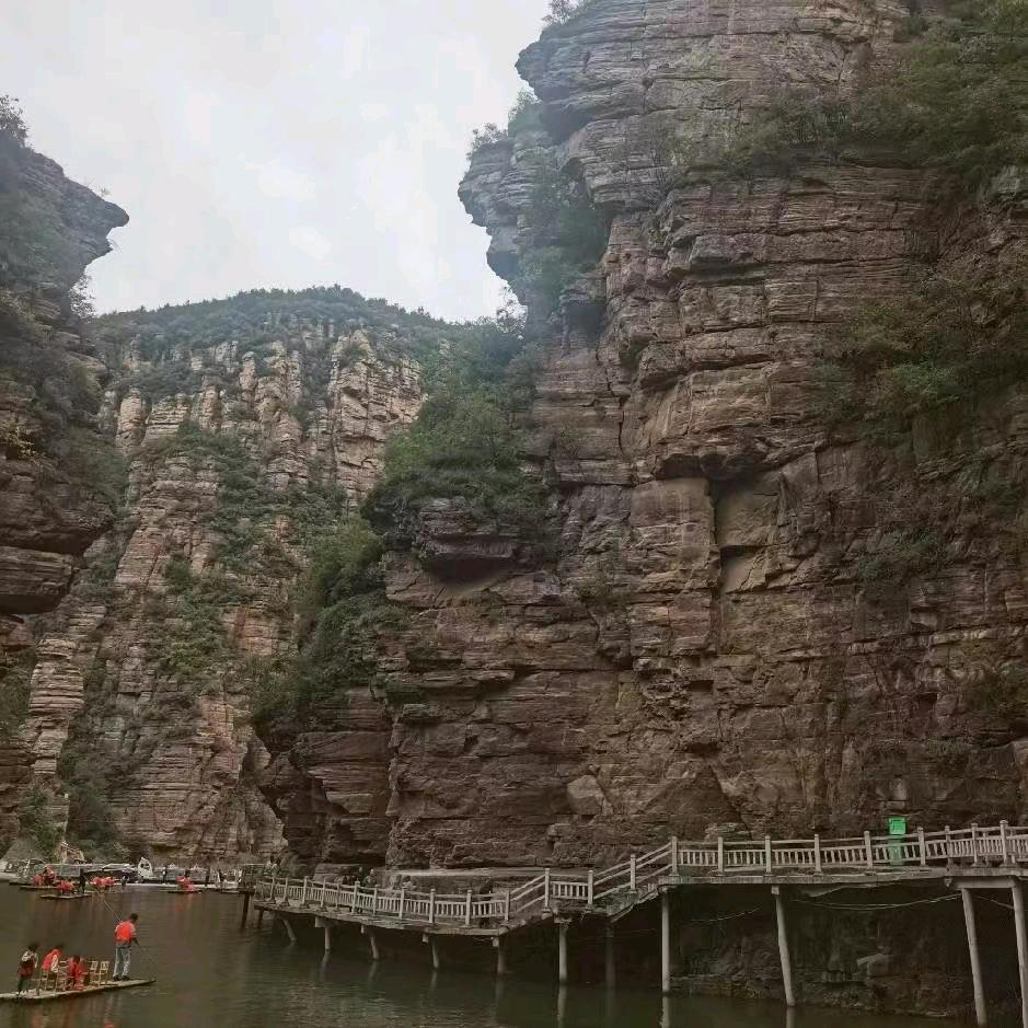 焦姐