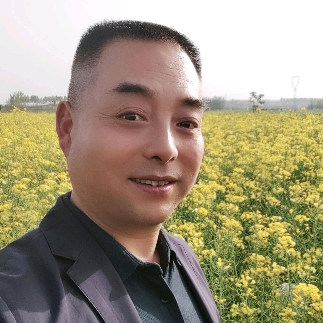 醉红尘