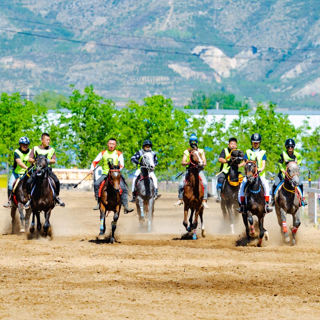 文锋马术俱乐部