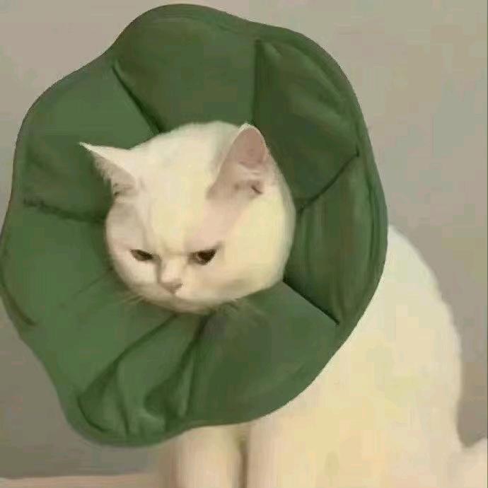 一不小心就过了.🖤