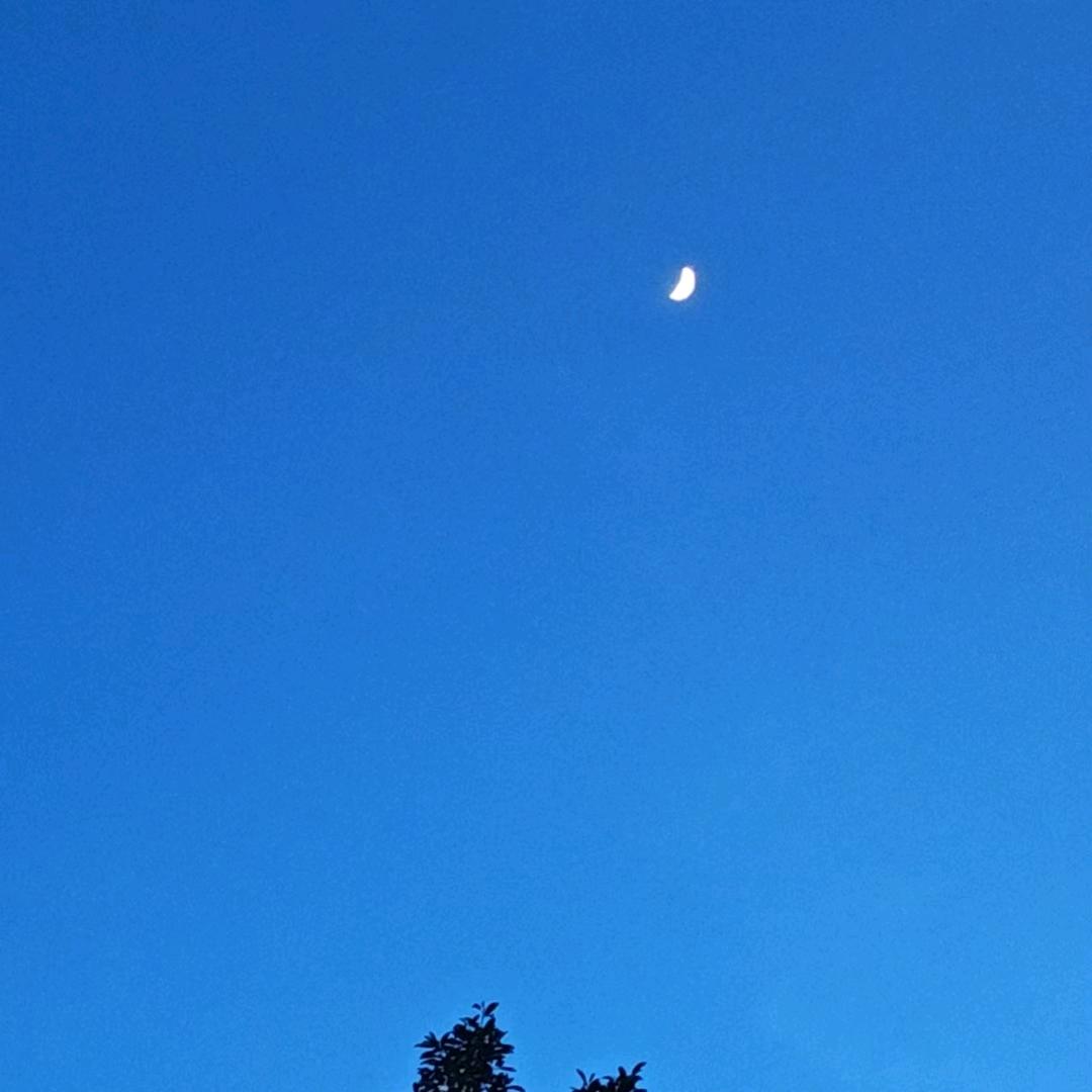 给生活比个✌