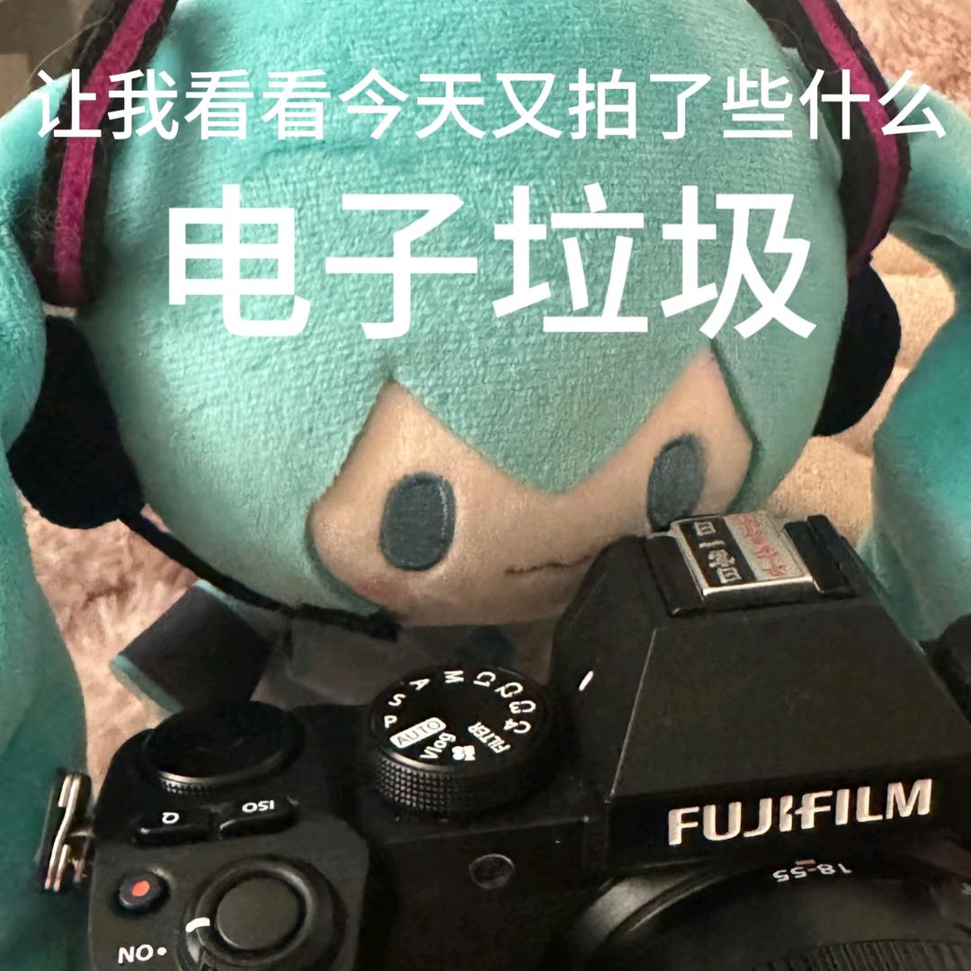 树子（桂林约拍版）