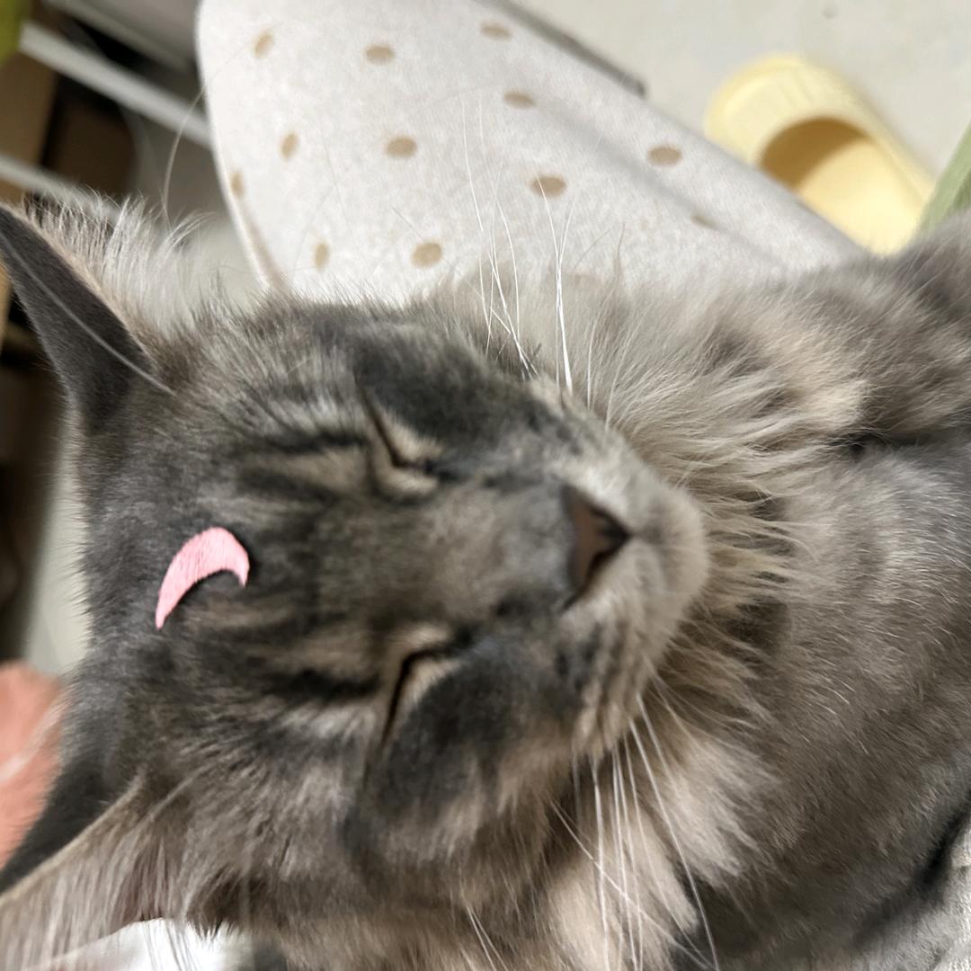 漠河