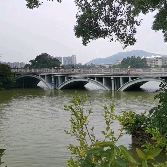 对错何妨