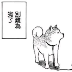 滚别烦我