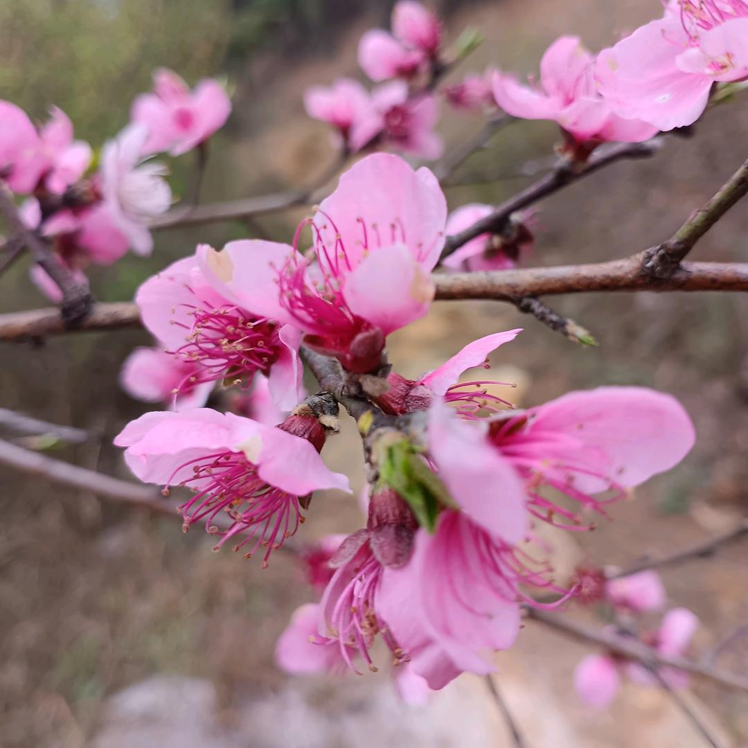 杨🌺明天会更好