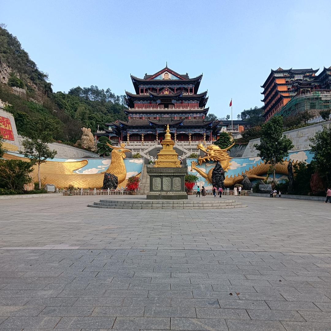 漂泊的游子