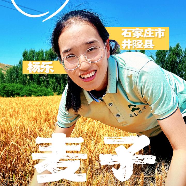 乡村大乐