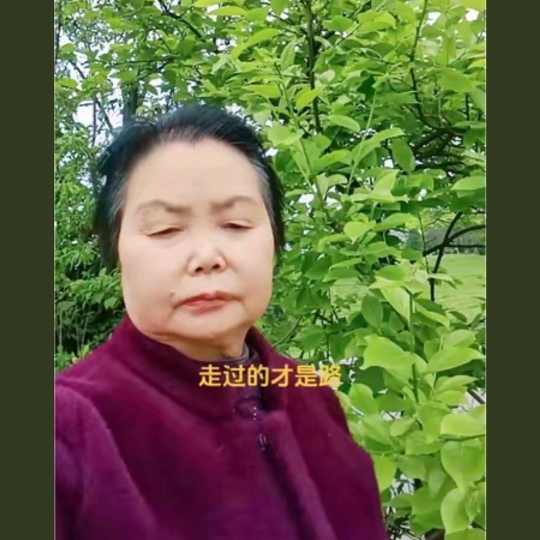 高大姐(不定时开播)