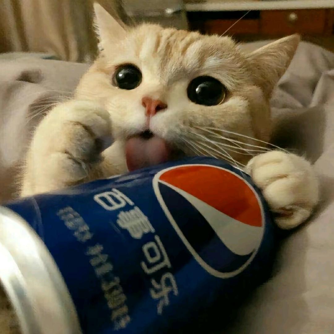 睡不着的泡泡糖