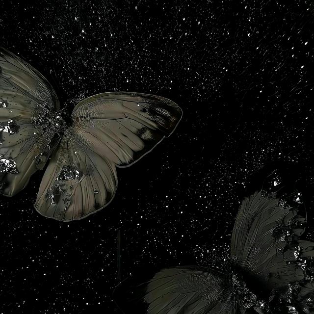 _x.