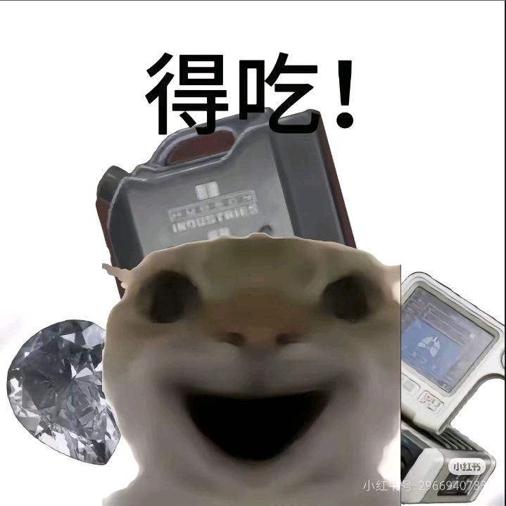 没肝没肺