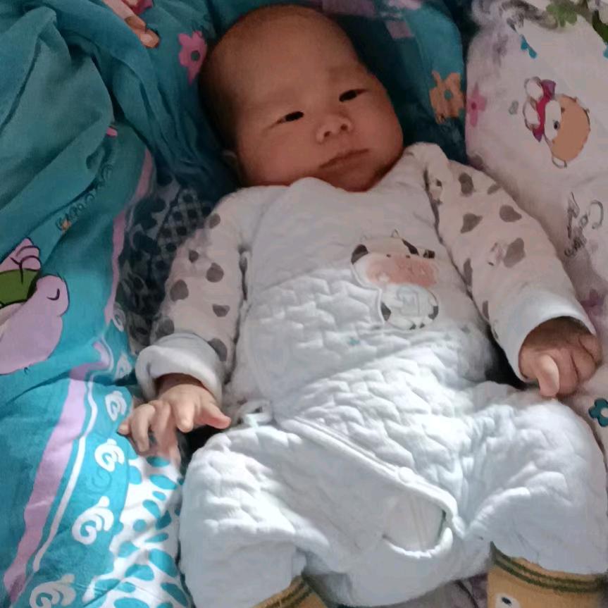 小高
