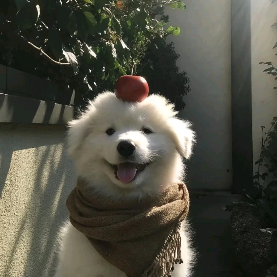 星 星