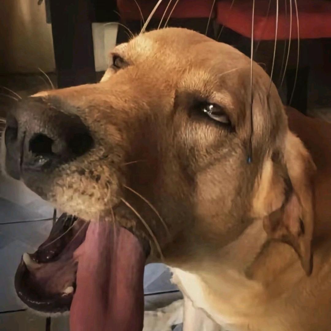 牛爷爷cos李云龙向寡妇村开炮