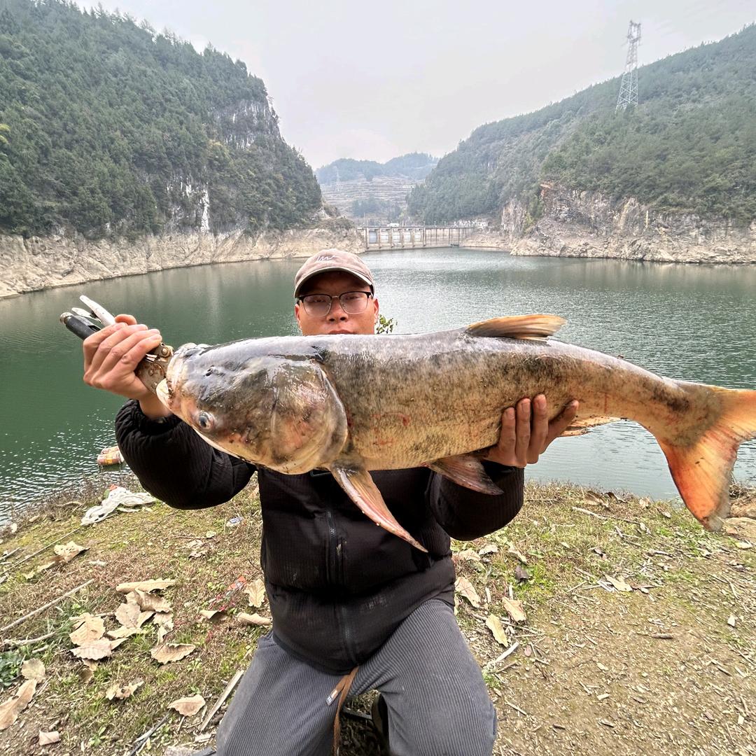 波神🎣钓鱼