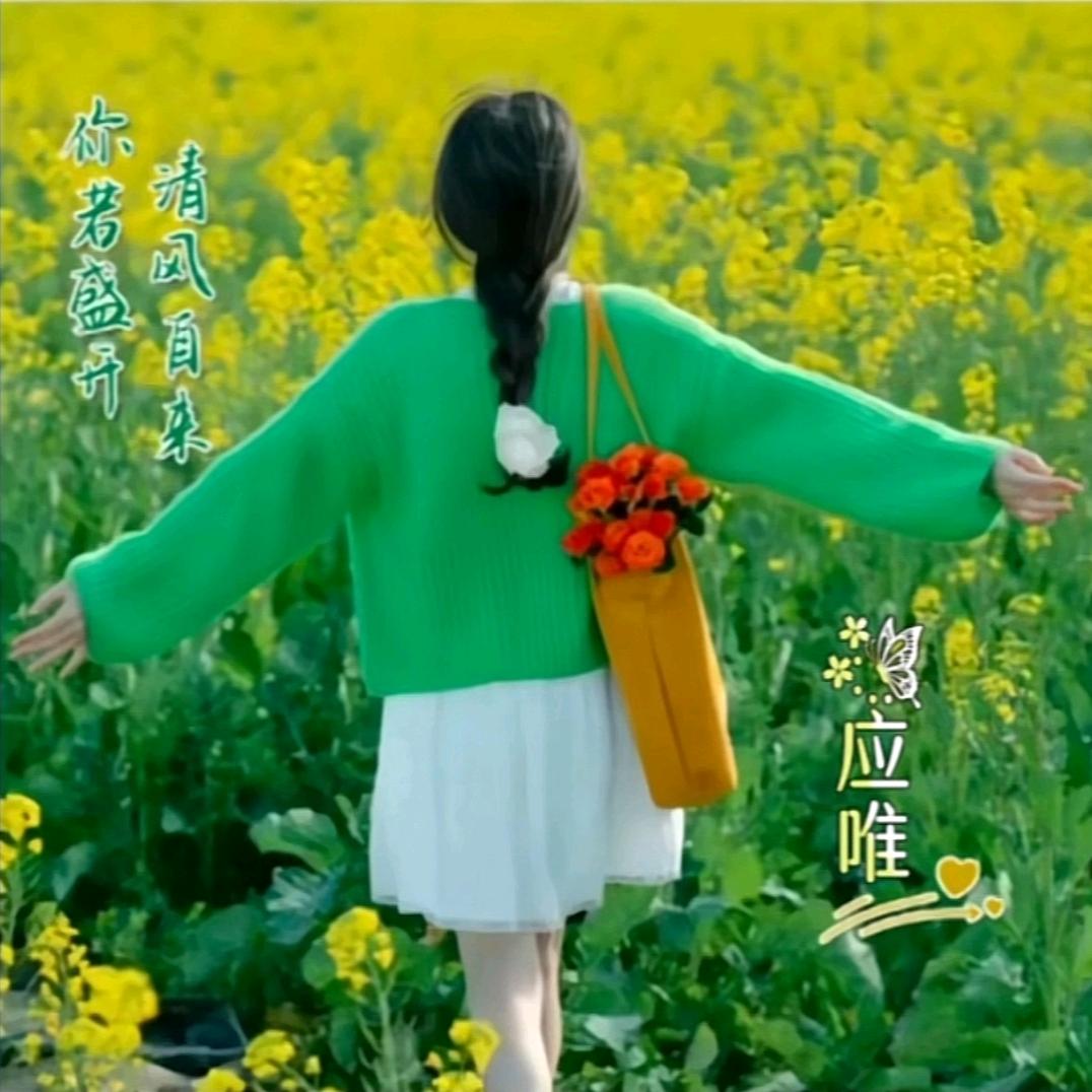 @应唯の所以