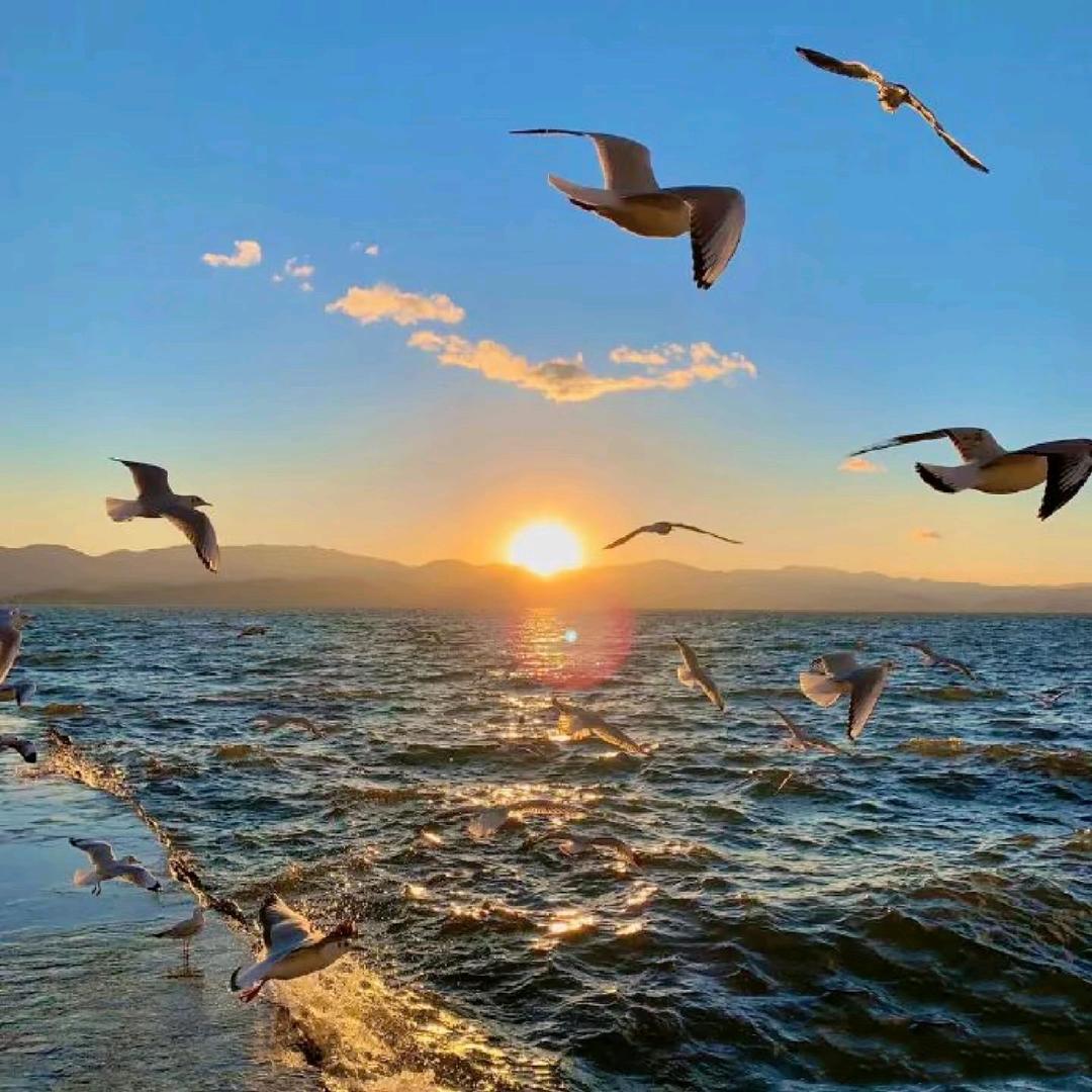 昭阳国际李忠辉