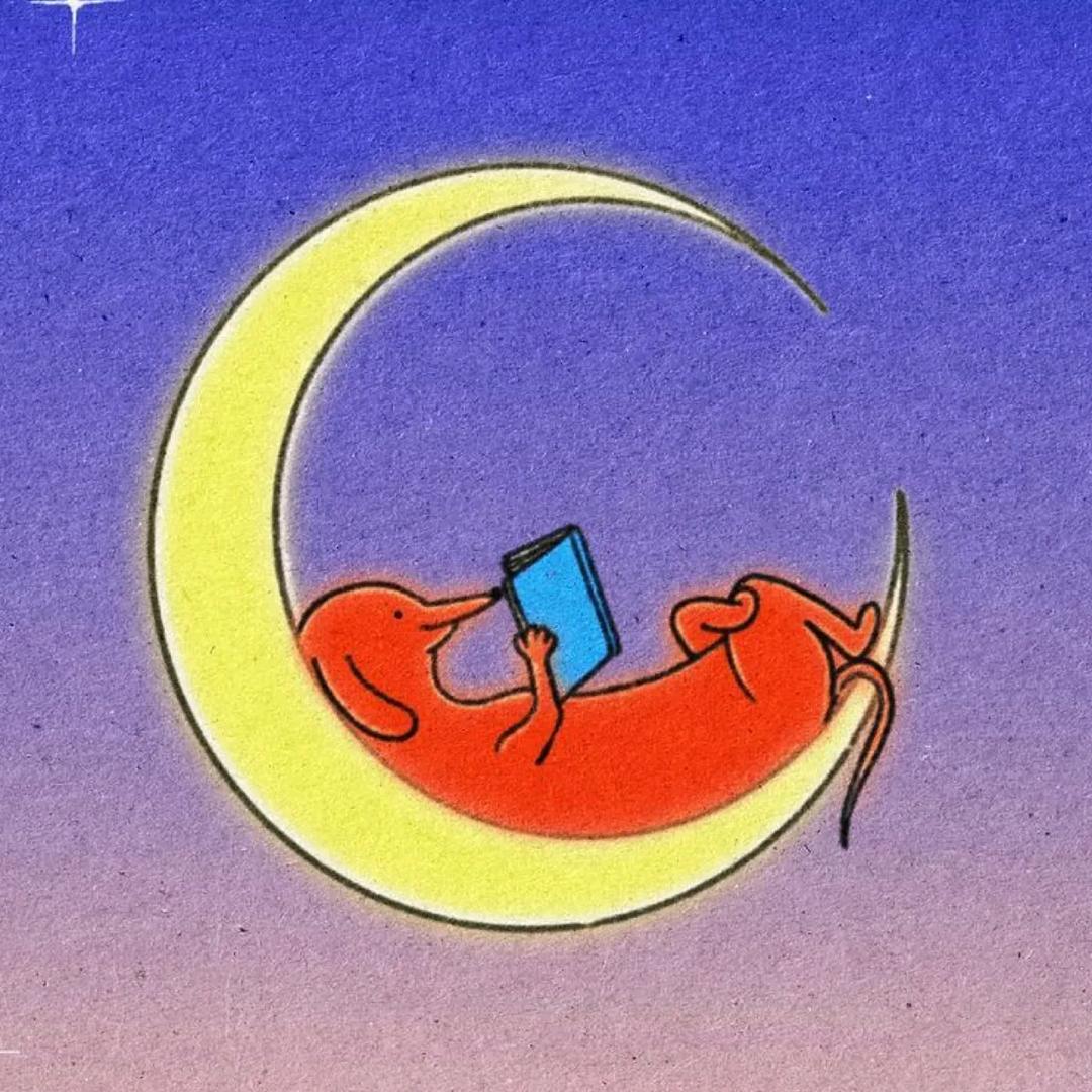鱼泽不吃鱼