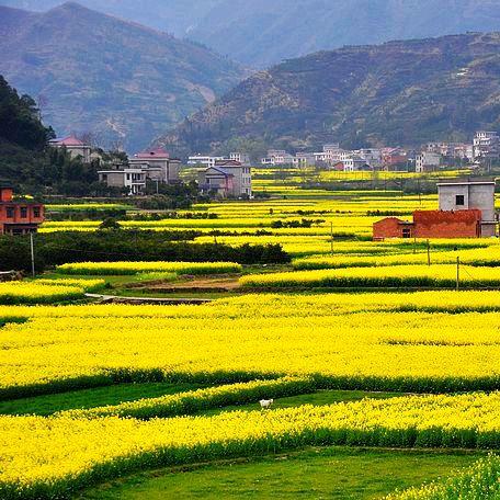 ℋღ᭄🍒黄昏᭄💞࿐