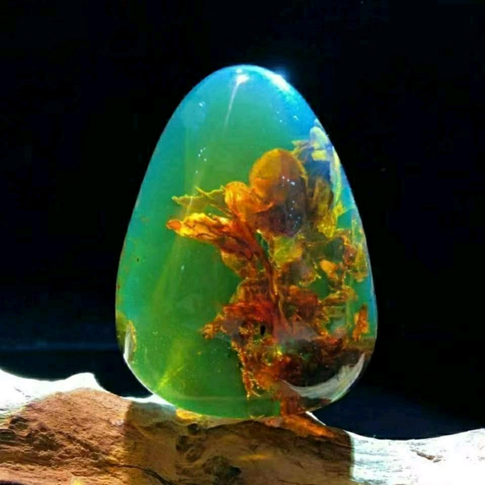 益西卓玛💄👫💄