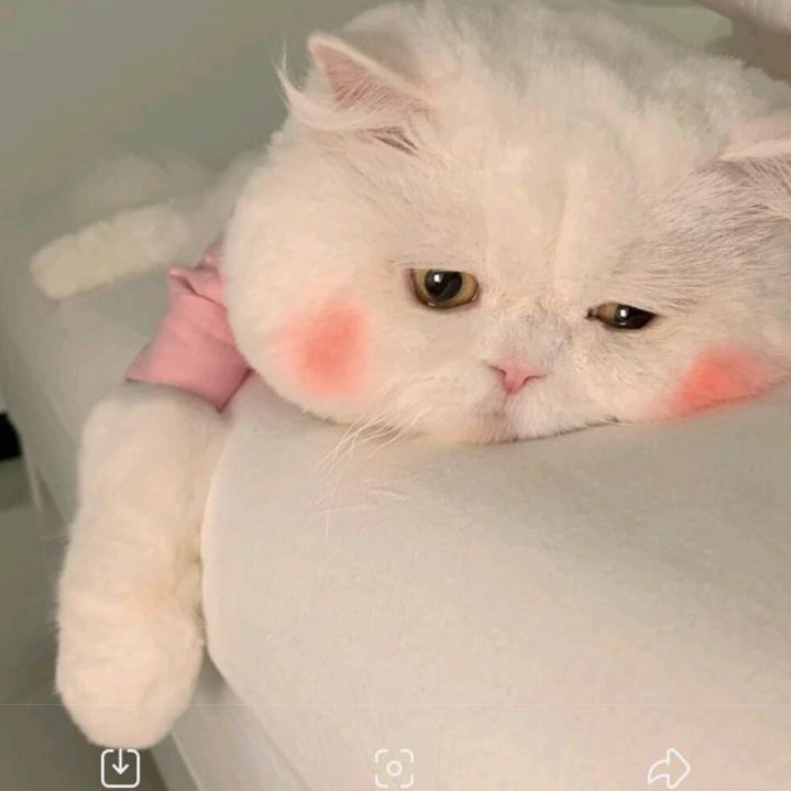 我姓杨，沐一昂杨