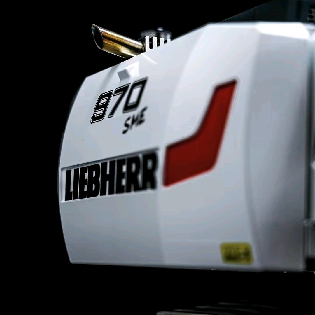 定结🌴旦增🌴