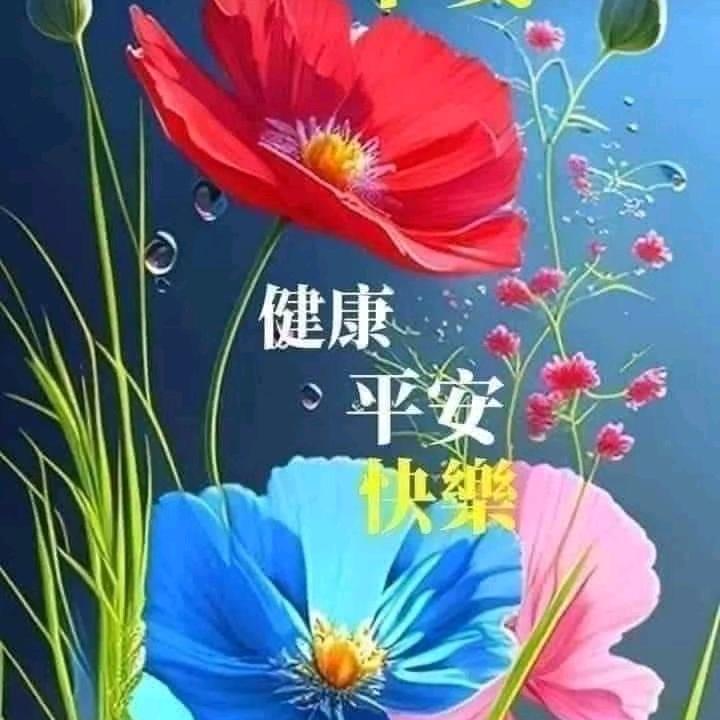 致远平和