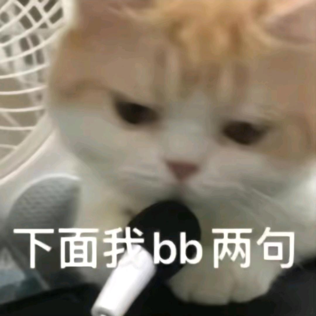 狸猫喵喵叫