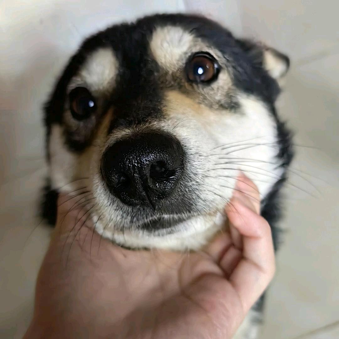 我疯狂睡觉