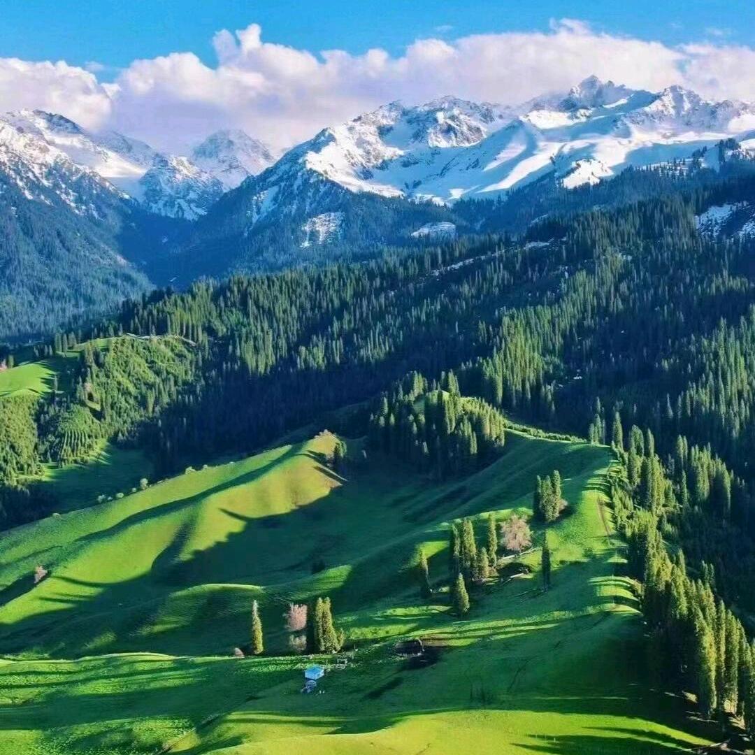 新疆老尚阿达西