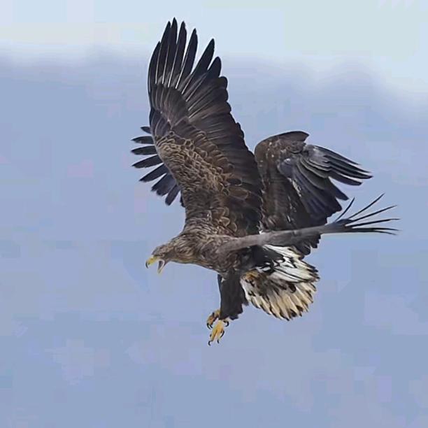 告别过去，微笑前行