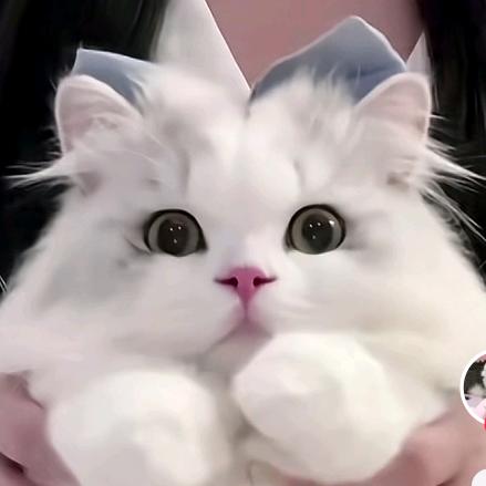 红橙黄绿蓝
