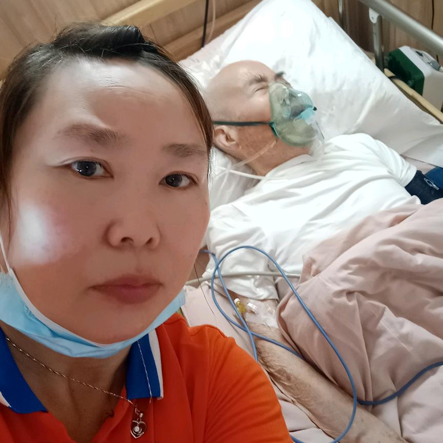 落群蚂蚁