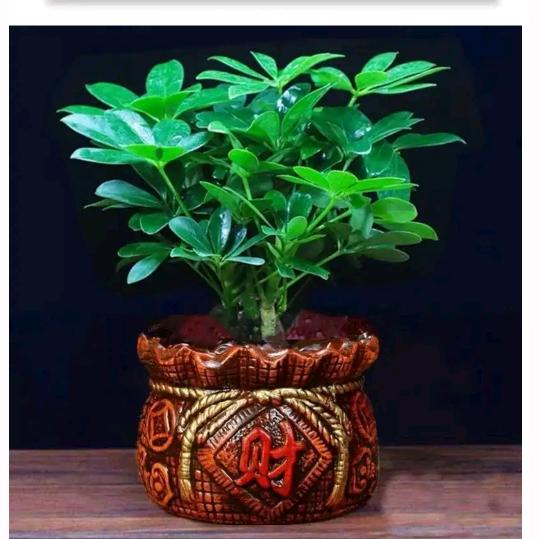 相约幸福