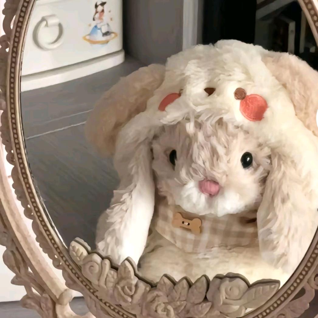 小兔🐰🐰
