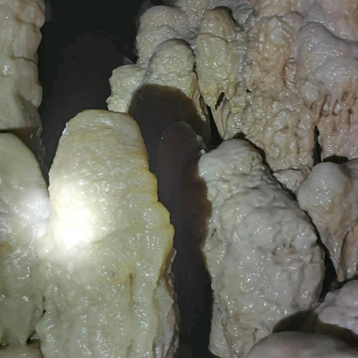 我是平凡的人