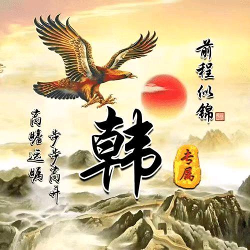 韩哥 🌞宝中专业敲墙搬运