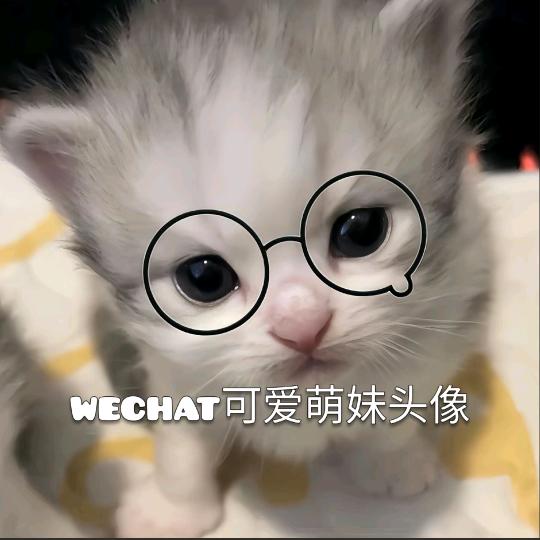 装萌妹被打
