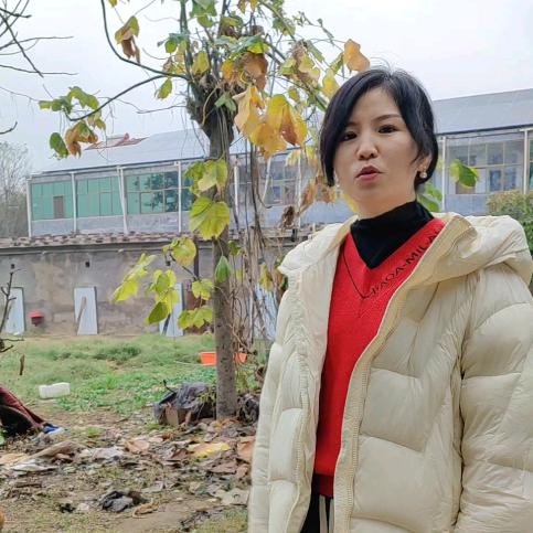 润康养殖（土元养殖）